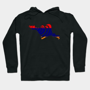 Corazón Bandera Armenia Eurovisión Hoodie